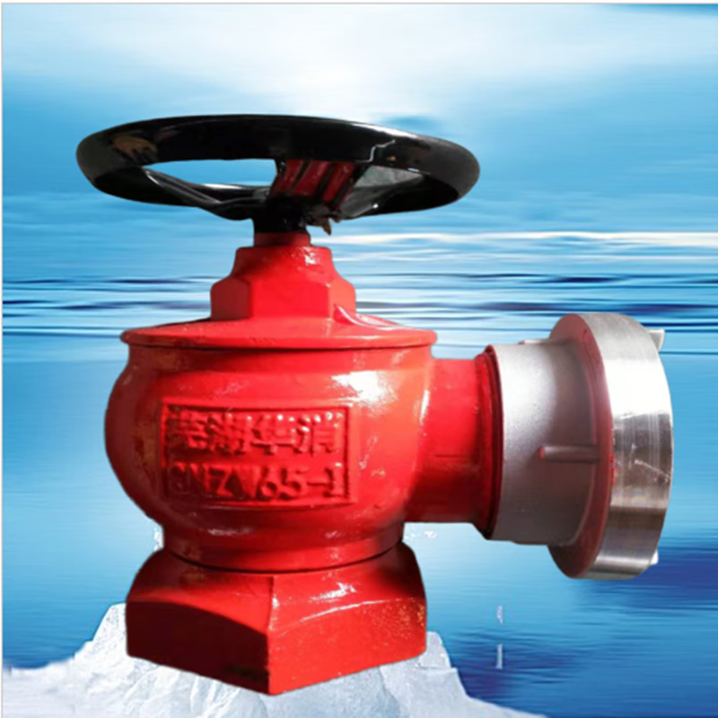 仁聚益2寸半消防箱龙头芜湖华消室内消火栓sn/snw/snzw65室内栓消防栓