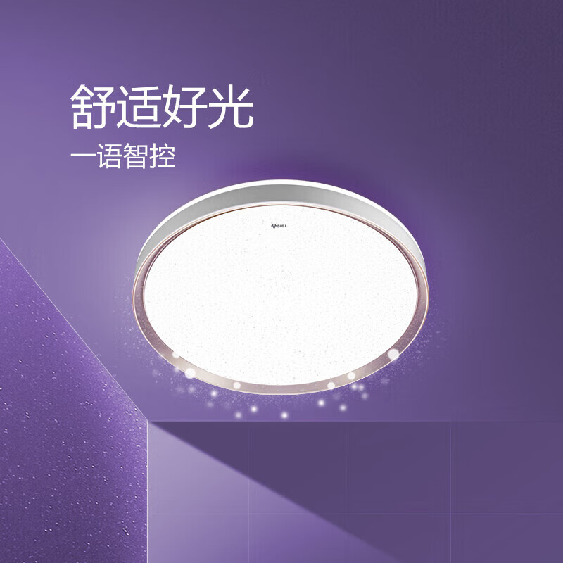 客厅灯品牌排行前十名：揭秘这10款高颜值超亮节能爆款！-图片2