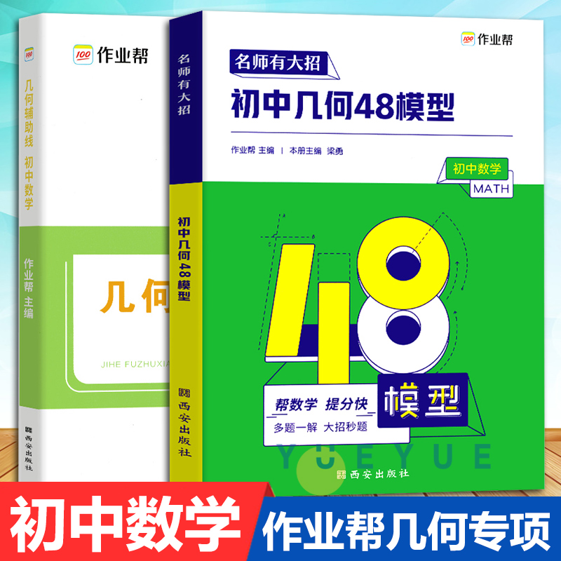 进阶100初中几何48模型+几何辅助线初中数学专项训练刷题七八九年中考总复习辅导资料书初一初二初三