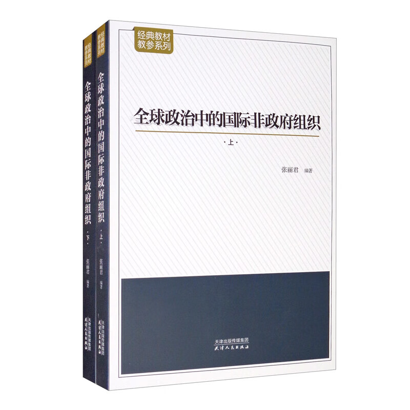 全球政治中的国际非政府组织：套装上下册