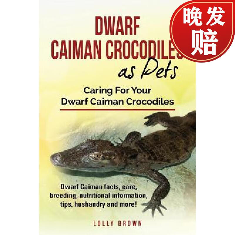 【4周达】dwarf caiman crocodiles as pets: dwarf caiman facts