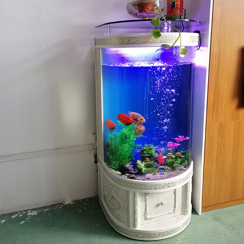 smvp鱼缸客厅大型落地家用欧式半圆柱形玻璃生态水族箱实木  42x50x14