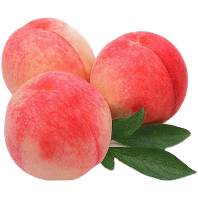 现摘水蜜桃 当季孕妇水果 新鲜脆甜桃 5斤装