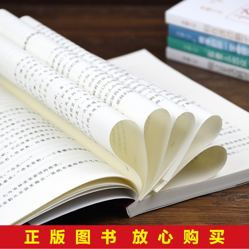 卓越人生（套装5册）：你应当像鸟儿飞向你的山+你要么出众，要么出局+将来的你一定会感谢现在努力的详情图
