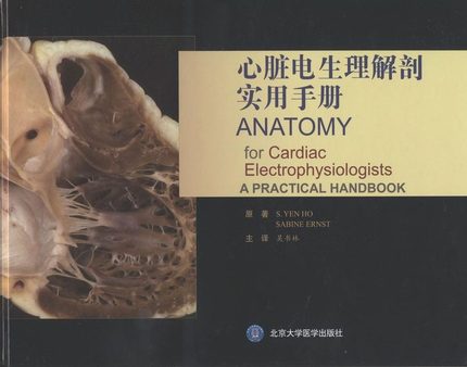 心脏电生理解剖实用手册燕何吴书林主译正常心脏以及心律失常相关结构临床实用医学书籍心脏病学北京大学医学9787565907906