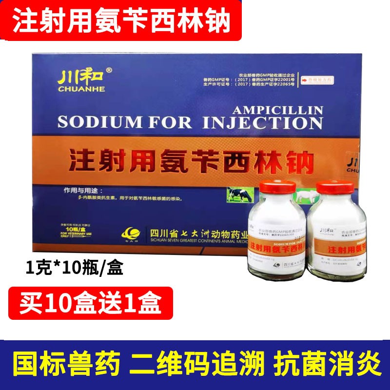 兽药兽用氨苄西林钠粉针猪牛羊肺炎乳腺炎子宫炎肠炎消炎 1盒价