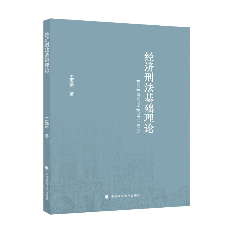 经济刑法基础理论 王海桥 法律经济金融理论社科专著 中国政法大学出版社