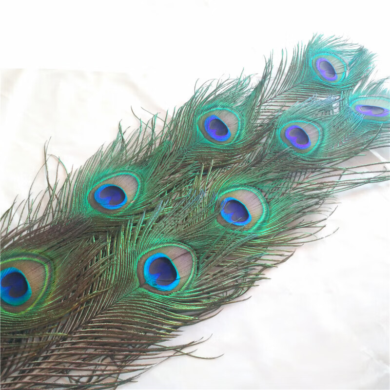 家居饰品摆件孔雀羽毛真孔雀毛花瓶装饰品孔雀翎尾婚庆羽毛 长70厘米