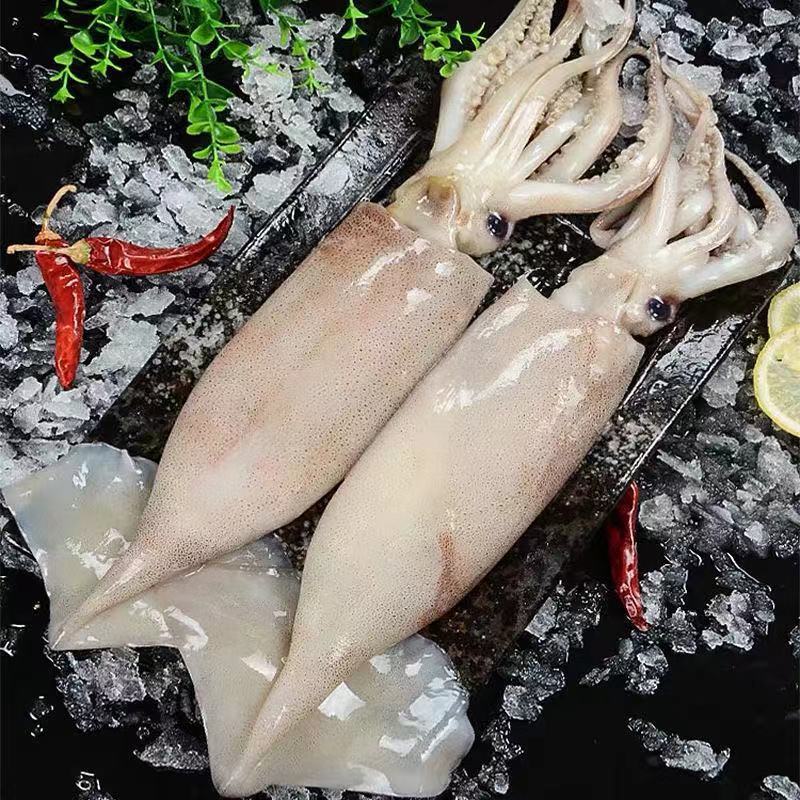 山头林村鲜活深海捕冷冻水产新鲜大鱿鱼尤鱼整条烧烤 超大号鱿鱼 10斤