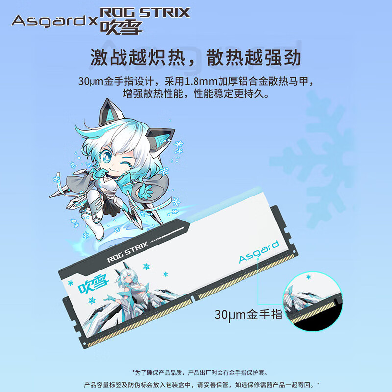 阿斯加特（Asgard）32GB(16GBx2)套 DDR5 6400 台式机内存 RGB灯条-吹雪联名款
