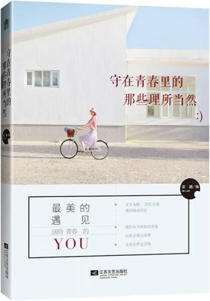 守在青春里的那些理所然9787539975283