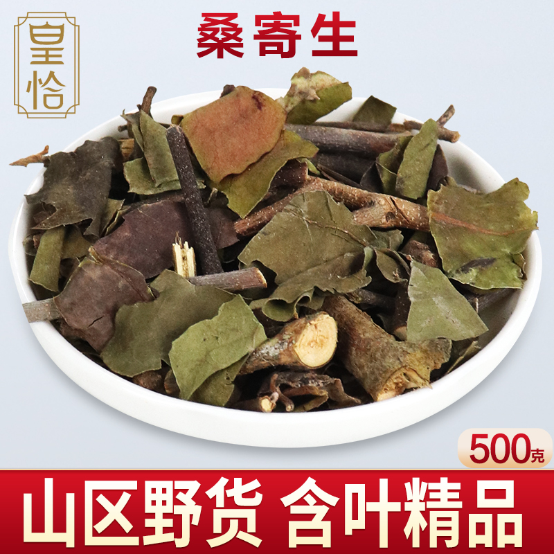 皇恰野生桑寄生 槲寄生 北寄生 柳寄生 黄寄生 冻青 寄生子粉中药材