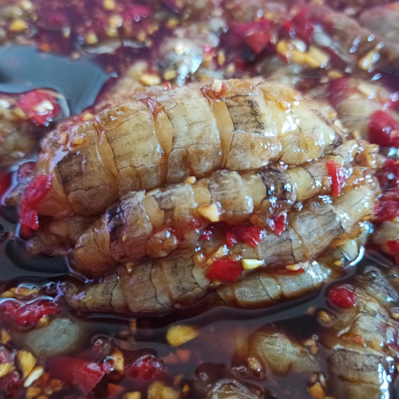 海鲜汕尾特产老广的味道 麻辣纯肉鲜活腌制皮皮虾 即食卤虾虾姑解