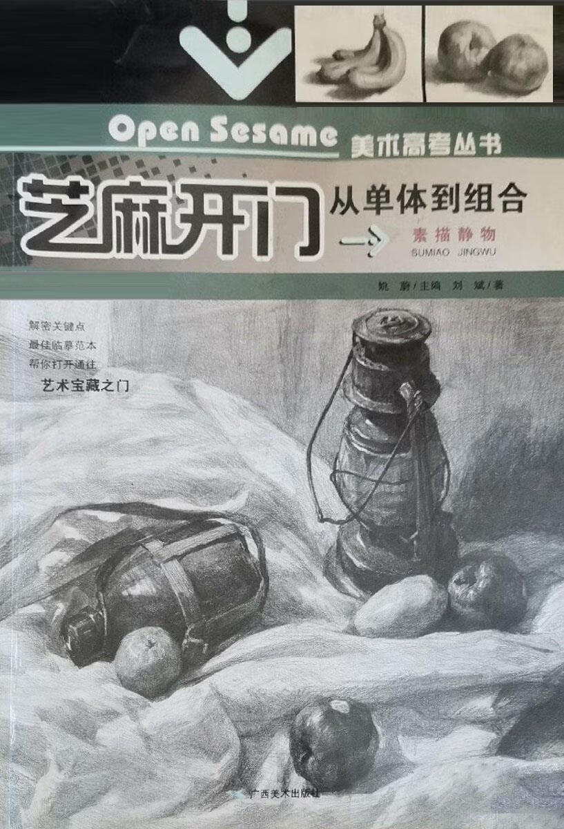 素描静物 刘斌主编 广西美术出版社