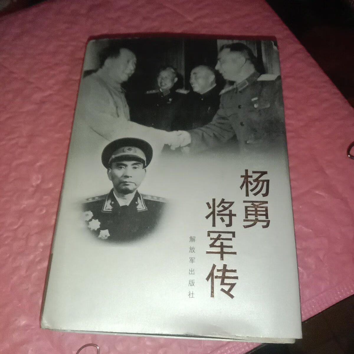 杨勇将军传图片