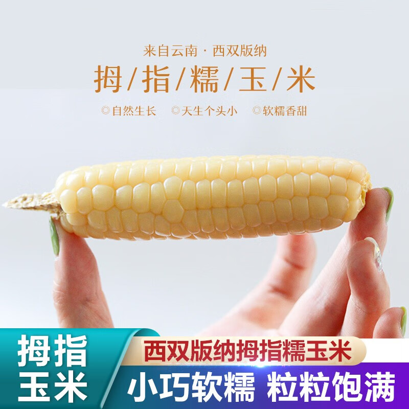 禾语鲜 西双版纳拇指小玉米 新鲜糯玉米蔬菜健康轻食 2斤装（约15-20根）高性价比高么？