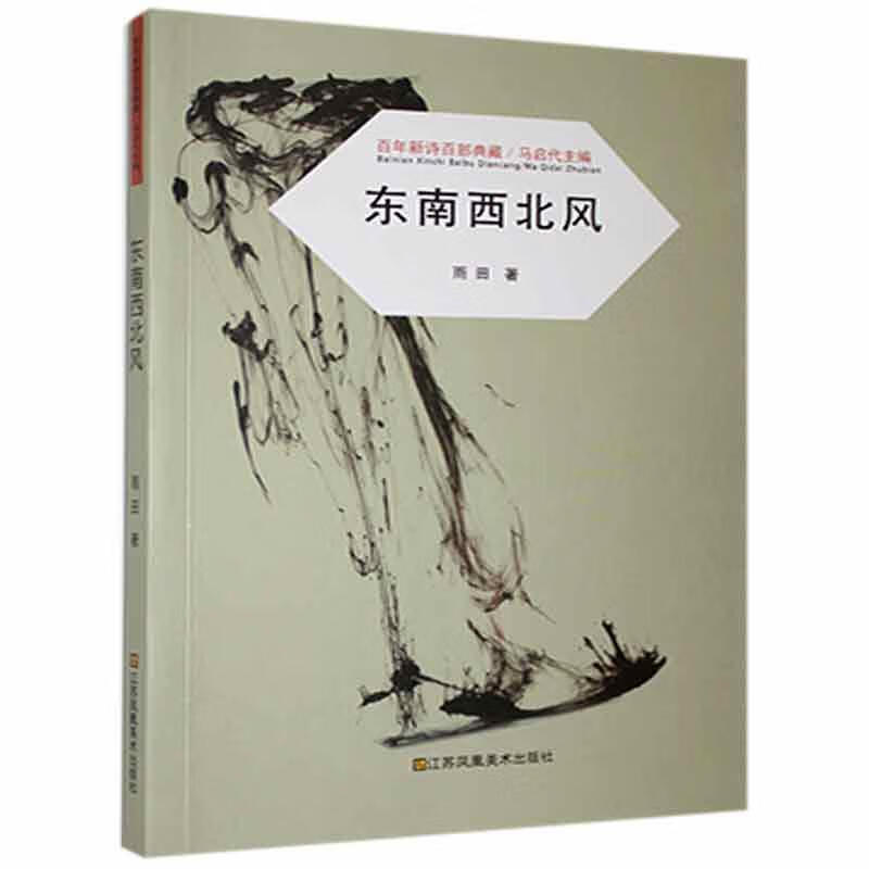 百年新诗百部典藏:东南西北风张咏梅江苏社9787558051081 文学书籍