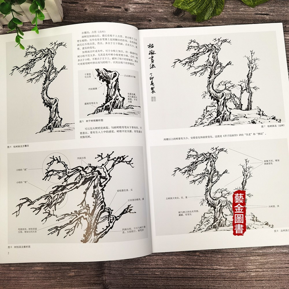 树木 中国画教学画稿 山水画树木国画技法解析 赵树松著 写意山水画课