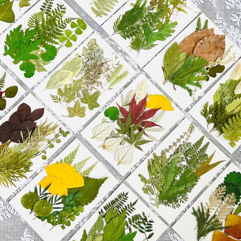 槿瑰y 树叶粘贴画手工叶子画干花书签押花植物标本幼儿园手工贴画diy