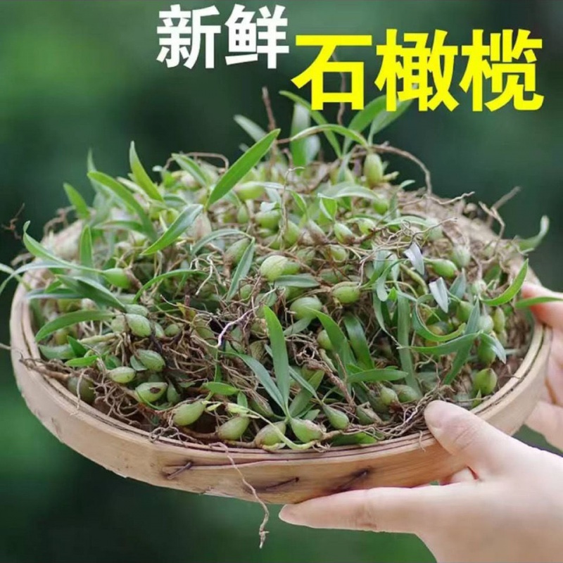 石橄榄双叶小果石仙桃煲汤炖汤肺双叶小果山石斛石橄榄双叶小果 优选1