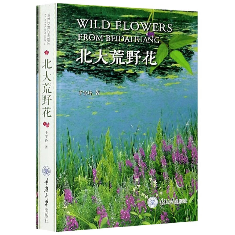 北大荒野花