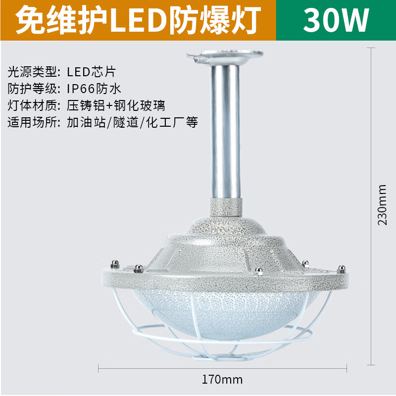 亚明照明防爆灯仓库工厂车间防尘防水隔爆型专用加油站灯50w100瓦 30w