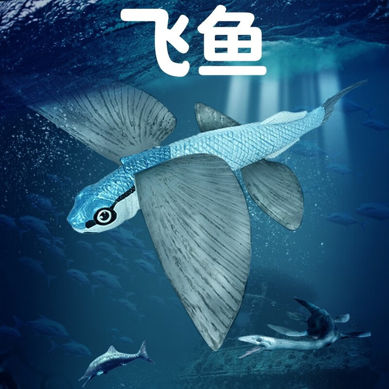 海洋鱼类玩具实心模型深海生物仿真海底动物世界男孩科普认知 飞鱼