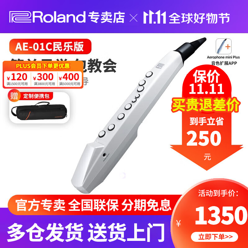 罗兰（Roland）电吹管AE01C自带音源扬声器竖笛指法初学者成年老年人电子管乐器 AE01C（民乐款）+便携包配件怎么看?