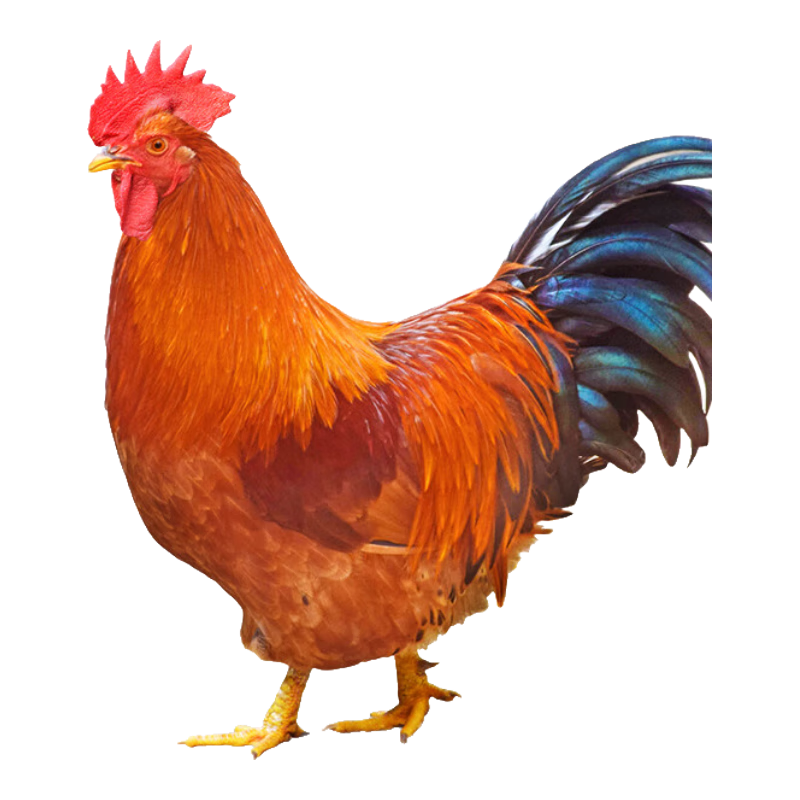 ���ڲ�����̶ţ �Ĳ��� С���� 2��