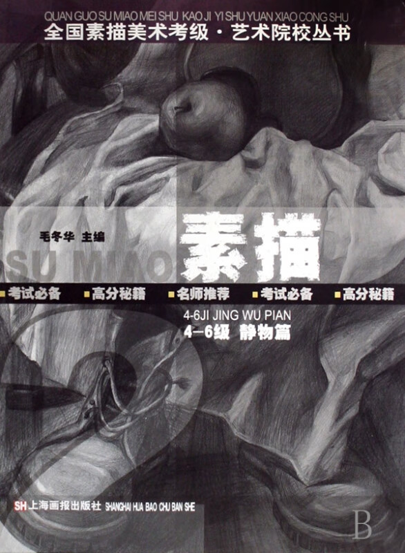 素描(4-6级静物篇)/全国素描美术考级艺术院校丛书 毛冬华