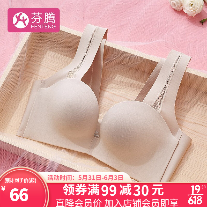 不可错过的性价比之选!芬腾女蕾丝文胸多功能聚拢少女文胸,价格历史稳定