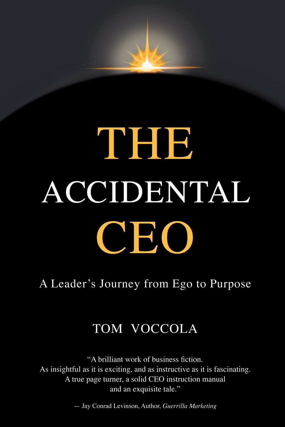 【预售 按需印刷】the accidental ceo - a leader s journey from