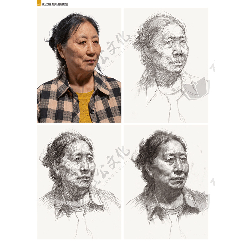 高分榜首素描头像临摹范本2021烈公文化于才瑞基础专题团块与头骨肌肉