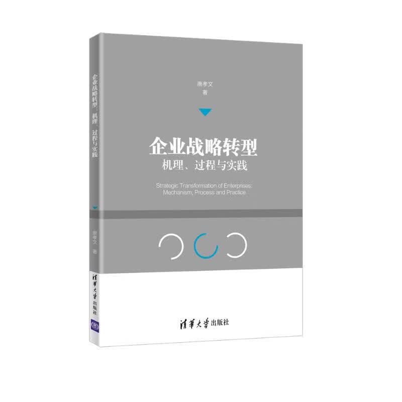企业战略转型：机理、过程与实践