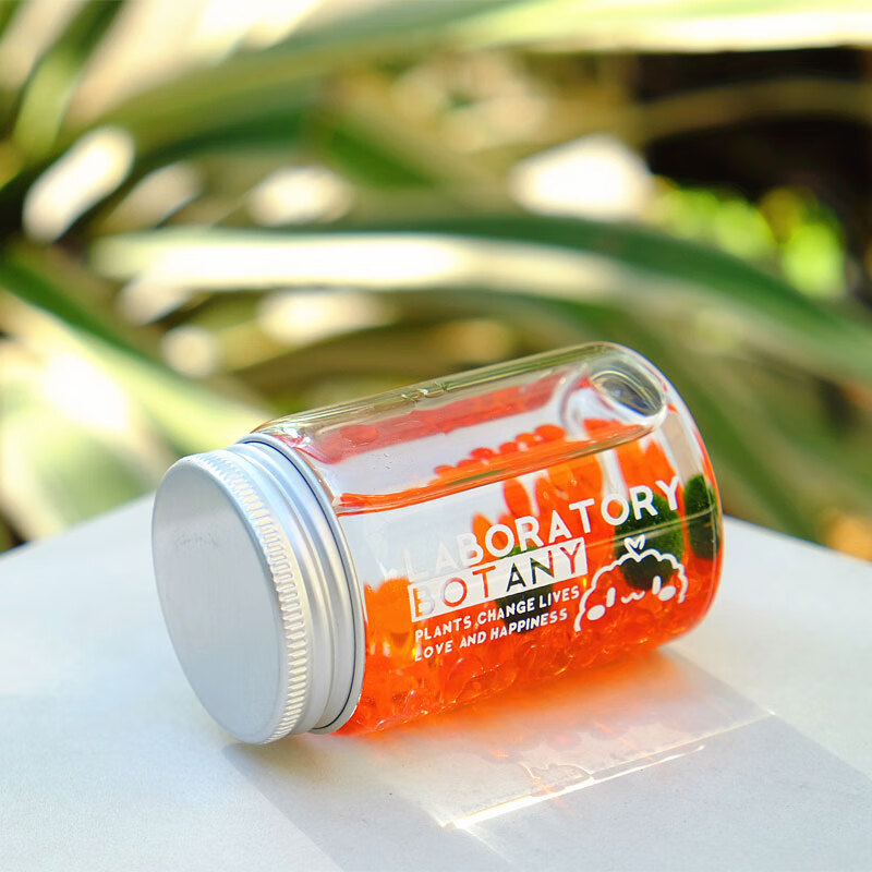 南有竹marimo马里莫海藻球营养液微景观生态瓶绿球藻水培植物盆栽栖