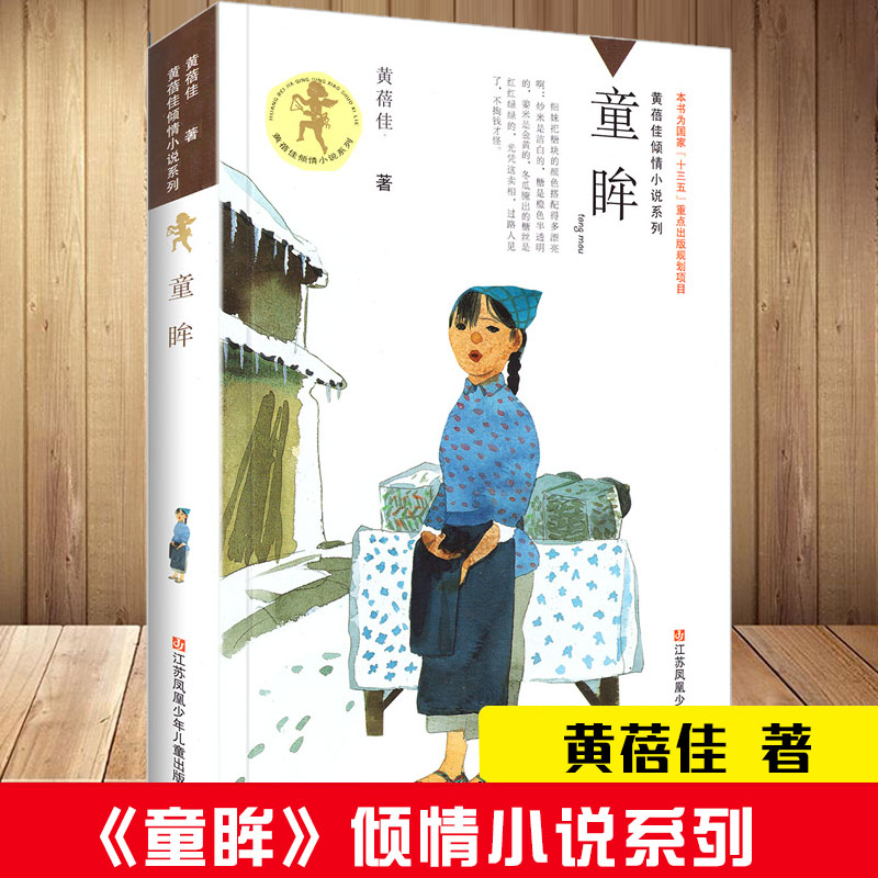 童眸 黄蓓佳倾情小说系列 世界 图书插画奖作品小学生课外读物