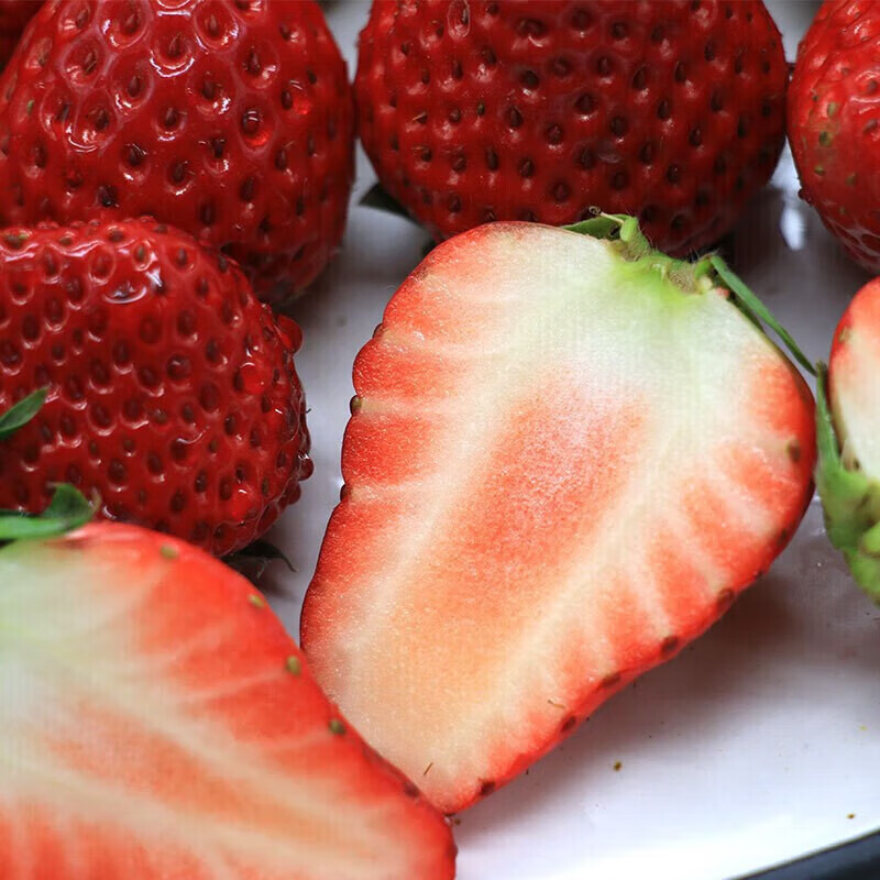 勿语大凉山高山露天种植新鲜草莓现摘现发 农家草莓产地直发10年老店 4盒中大果单果12g+ (36-80枚)净重2.1-2.6斤