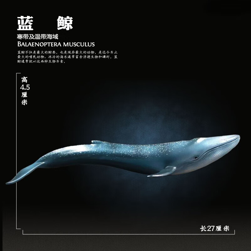 迪士尼鲸鱼模型海洋动物玩具儿童仿真白鲸蓝鲸座头鲸虎鲸抹香鲸灰鲸 蓝鲸