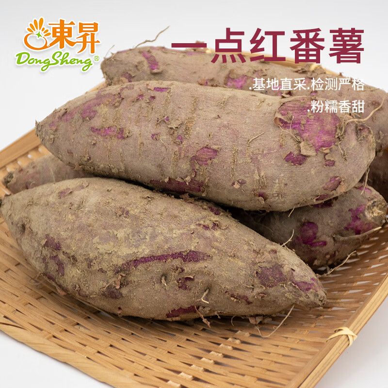 东升农场 一点红番薯 红薯  小番薯 广州南沙特产 5斤 2500g