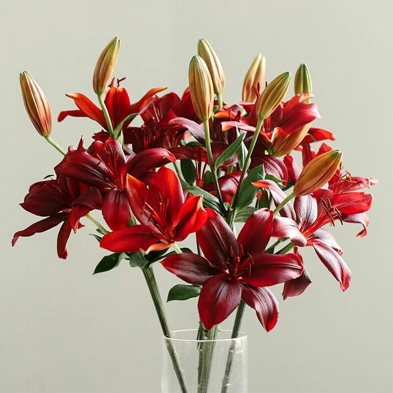 昆明直发黑宝石眼线童年水养办公室插花 红宝石亚百合/20朵/送保鲜剂