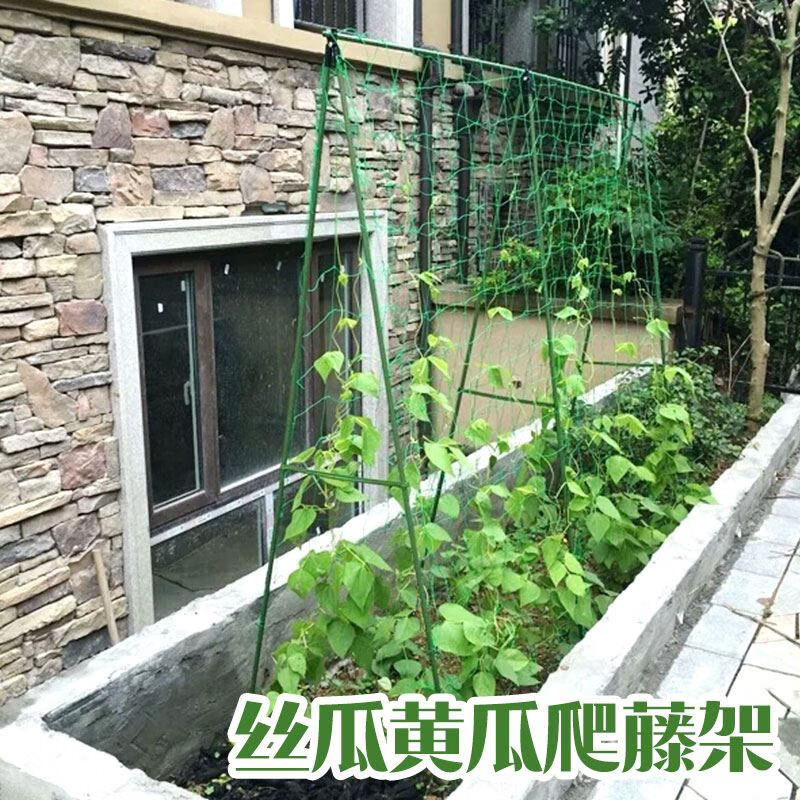 苏塑黄瓜豆角爬藤架种菜架子庭院葡萄架包塑钢管植物支架户外攀爬架子 11mm粗长1.2米*高1.2米-3横8竖