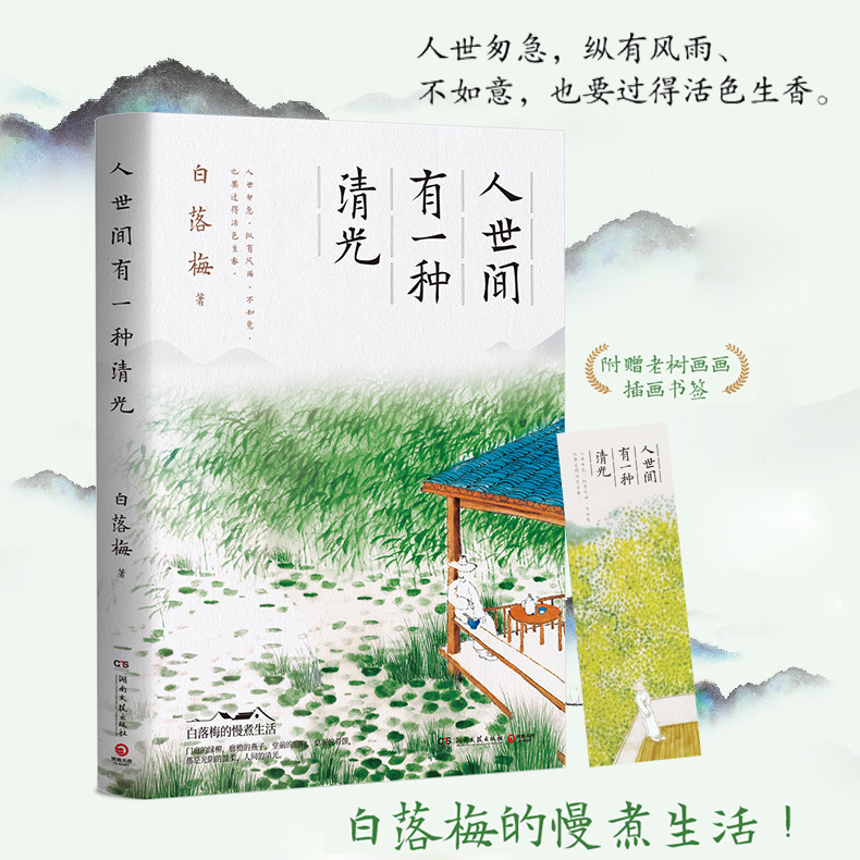 人世间有一种清光 白落梅生活随笔集 中国现当代文学古风禅意散文随笔