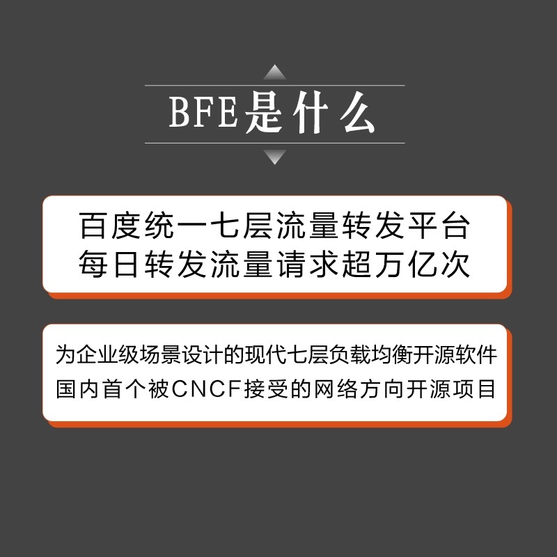 万亿级流量转发：BFE核心技术与实现（博文视点出品）详情图