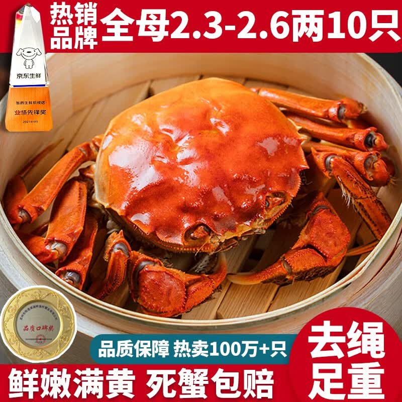【活蟹】蟹爵大闸蟹全母2.3-2.6两10只 鲜活螃蟹现货生鲜中秋礼盒高性价比高么？