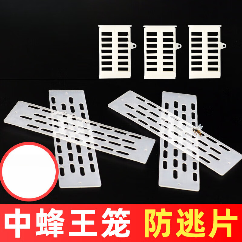 穆淳傲中蜂王笼防跑王片逃片巢门防跑塑料隔王栅片50个装千年峰养蜂
