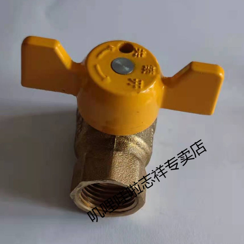 叽哩哇啦气阀门磁性锁闭阀双耳单孔球阀黄铜4分dn15开关钥匙 双耳单孔