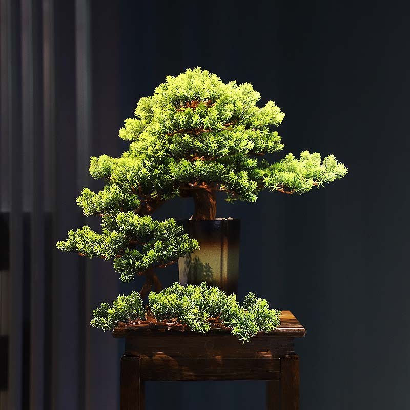 松树盆景新中式禅意客厅玄关样板房酒店装饰迎客松摆件绿植物 南山居