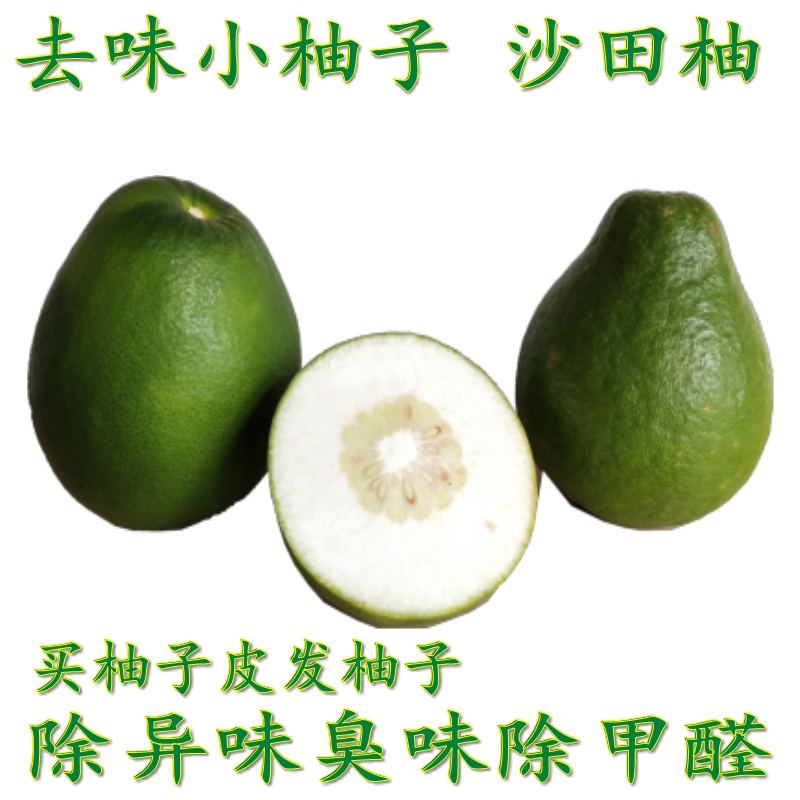 沙田柚新鲜小柚子皮香柚子新车新房去味除甲醛异味香柚多省 小个青