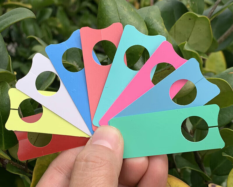 文枝赞璐桐植物标牌葡萄记号牌瓜果标记牌西瓜标记卡葡萄标签 白色