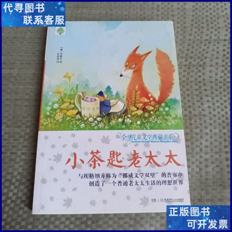 全球儿童文学典藏书系:小茶匙老太太 湖南少年儿童出版社二手书
